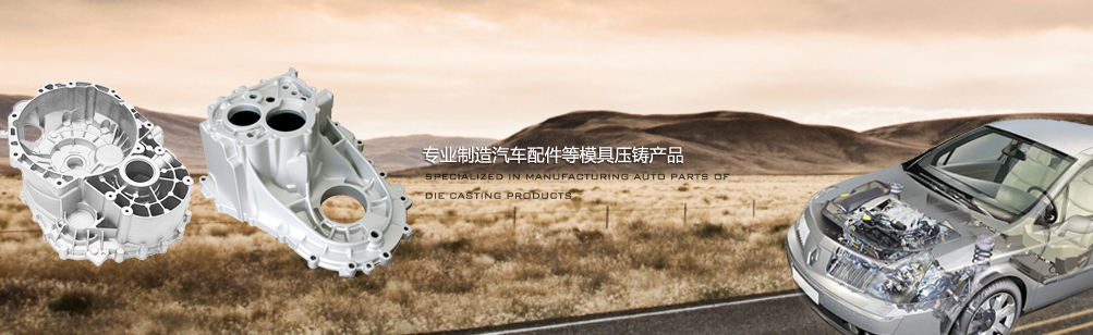 泰安市泰鼎衡器有限公司 